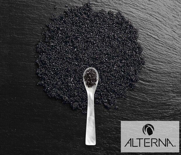 Προϊόντα περιποίησης μαλλιών Alterna στην Angelopoulos Hair Company